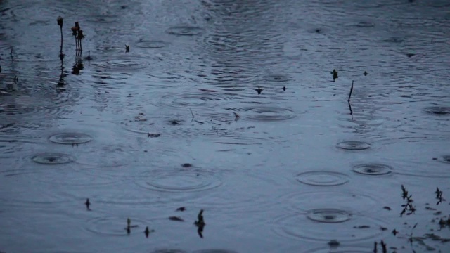 夏雨的雨滴落在水里，反映了傍晚和日落视频素材