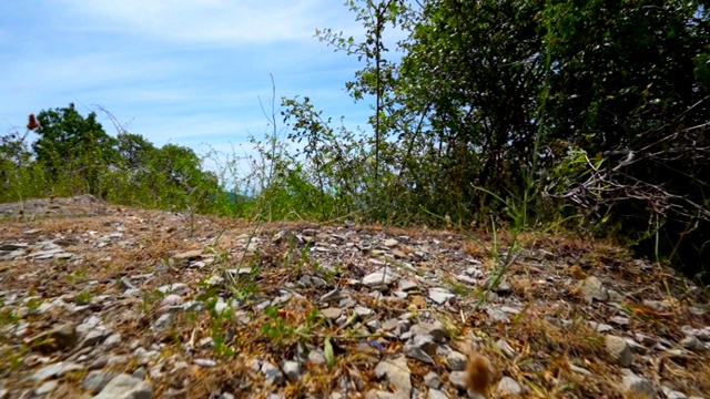 克里米亚南部海岸靠近Alushta的黑海海岸的夏季景观视频素材