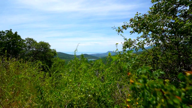 克里米亚南部海岸靠近Alushta的黑海海岸的夏季景观视频素材