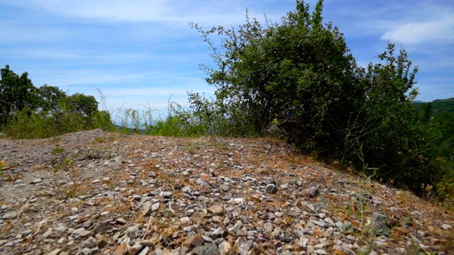 克里米亚南部海岸靠近Alushta的黑海海岸的夏季景观视频素材