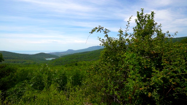 克里米亚南部海岸靠近Alushta的黑海海岸的夏季景观视频素材