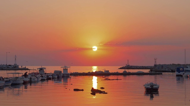 夕阳下的小港湾和飞翔的海鸥视频素材