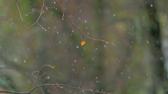 秋日有雪视频素材