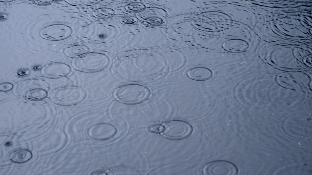 雨落在池塘里视频素材