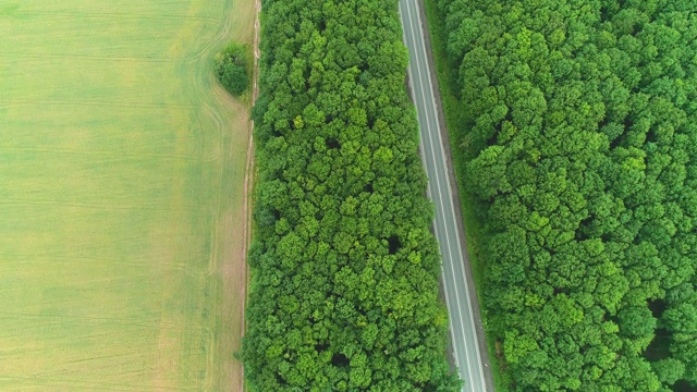 空中飞过在被森林包围的道路上行驶的卡车。4 k。视频素材