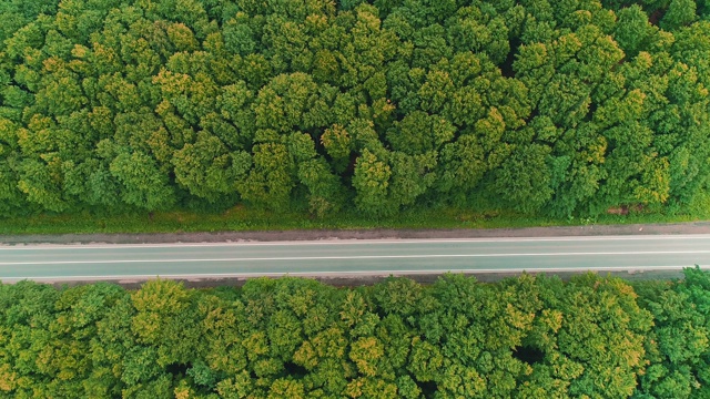 森林中高速行驶的汽车鸟瞰图。4 k。视频素材