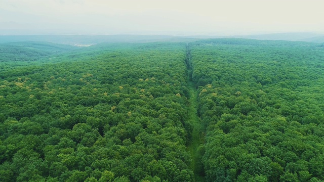 鸟瞰图七彩斑斓的初秋大气路径在薄雾山脉森林。4 k。视频素材