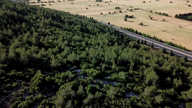 森林中树木间公路的航拍镜头视频素材