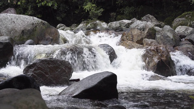 热带森林中的河流视频素材