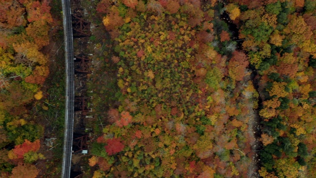 空中右图:穿过鲜艳森林的桥——新罕布什尔州的迪克斯维尔槽口视频素材