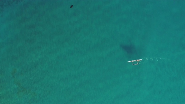 空中左图:在阳光明媚的日子里，一艘船漂浮在浅蓝的海水里——夏威夷大岛视频素材