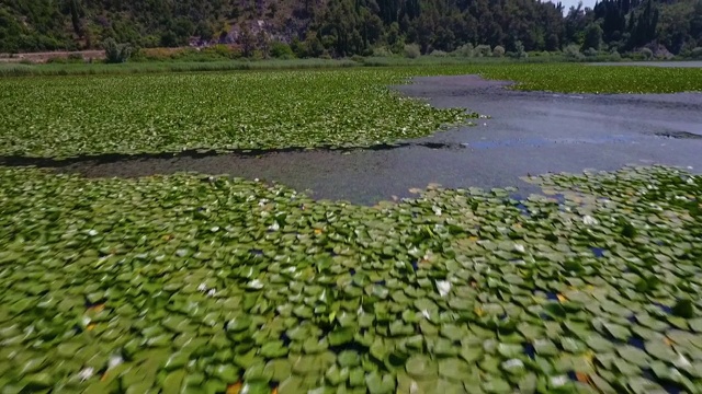 从水面到陆地，再到陡峭的山坡视频素材