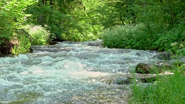 山间汹涌的河流视频素材