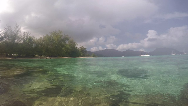 大海，泻湖前面是一个有树的岛屿视频素材