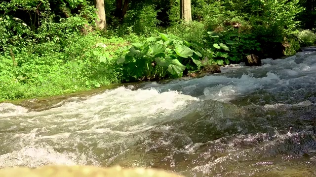 山间汹涌的河流视频素材