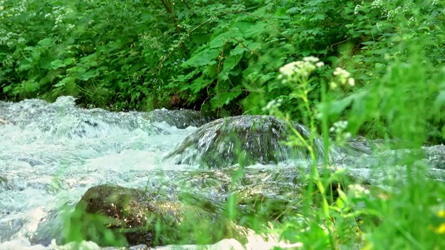 山间汹涌的河流视频素材