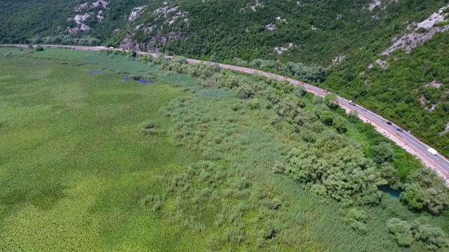 长镜头的道路和覆盖着睡莲的湖视频素材