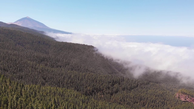 特内里费岛的主要景点——泰德火山的大型鸟瞰图。鸟瞰国家公园。摄像机放下来视频素材