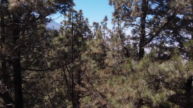 天线。相机升起，打开了一个充满云和泰德火山的山谷全景，特内里费，西班牙视频素材