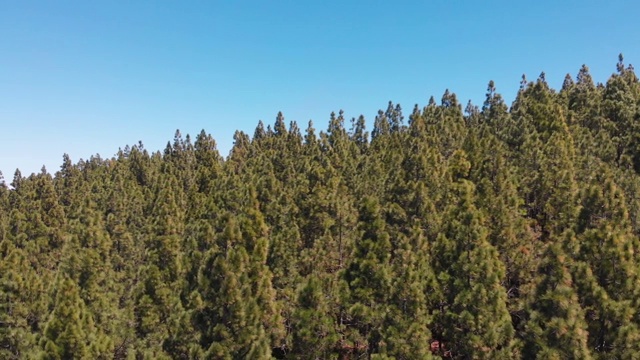 全景鸟瞰图-厚云在山脉上方的常绿森林特内费，加那利群岛，西班牙视频素材