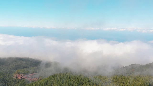 无人机在浓密的绿色森林上空飞过。山谷上空乌云密布。西班牙特内里费岛视频素材