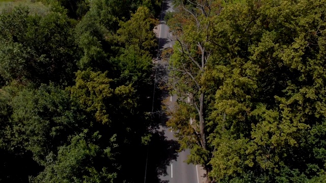 天线。白天在乡村道路上行驶的电动汽车的电影鸟瞰图。鸟瞰图飞过双车道森林道路与汽车移动绿树。汽车沿着森林道路行驶。4 k UHD视频素材