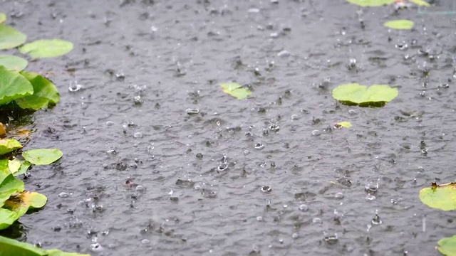 夏天雨水落进湖中，慢镜头180帧/秒，暴雨近景。视频素材