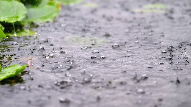 夏天雨水落进湖中，慢镜头180帧/秒，暴雨近景。视频素材