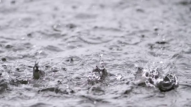 夏天雨水落进湖中，慢镜头180帧/秒，暴雨近景。视频素材