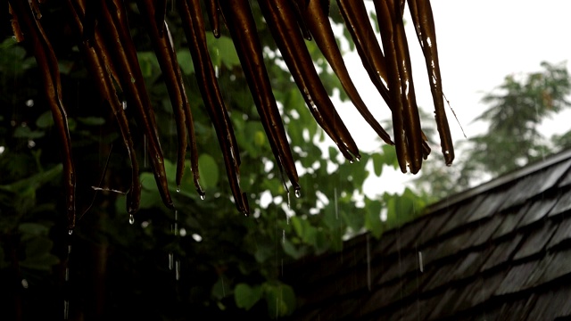 雨从稻草屋顶滴落下来视频素材