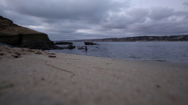 加州拉霍亚海岸海湾海豹视频视频素材