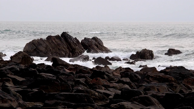 岩石海岸春天，达克池海滩，布德，北康沃尔，英格兰，英国，欧洲视频素材