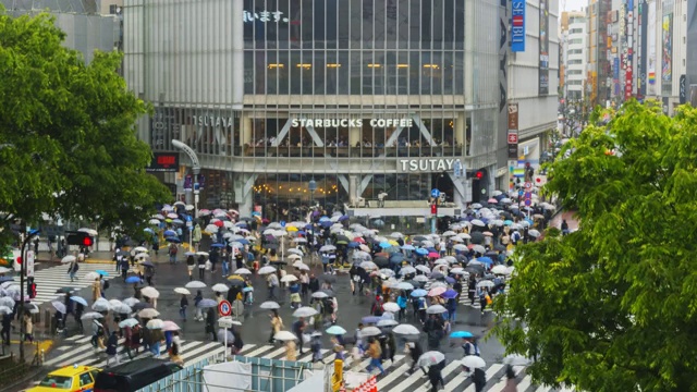 美丽的涩谷在东京，日本视频素材