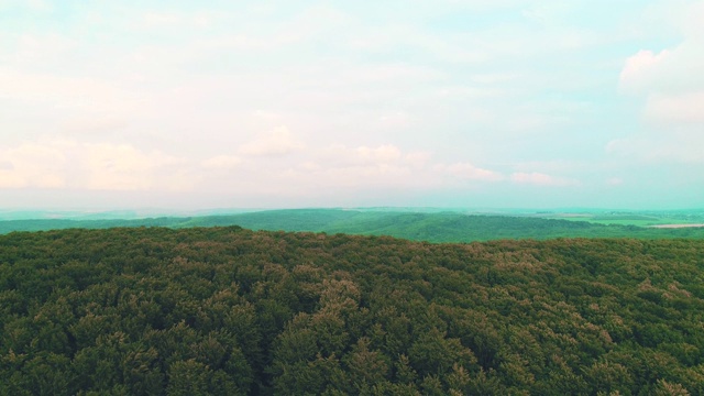 鸟瞰图。前进到松林和山谷与太阳耀斑在夏季的一天。4 k。视频素材