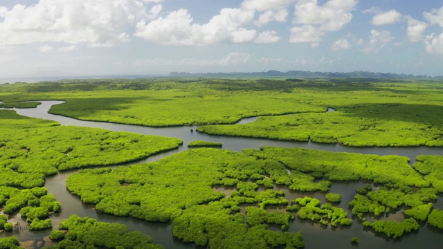 幻想丛林景观的热带河流在红树林热带森林在Siargao，菲律宾。旅游目的地鸟瞰图视频素材