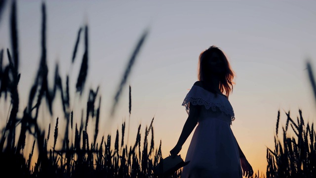 田里一个女人的剪影，麦穗。夕阳在田野里，人影剪影。后视图。视频素材