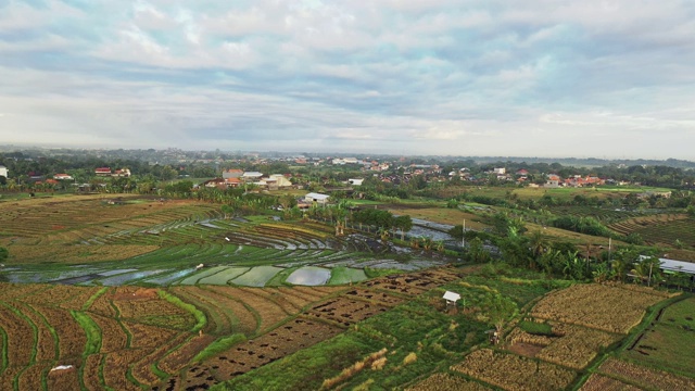 风景鸟瞰图的Tegallalang稻田在巴厘岛，印度尼西亚视频素材