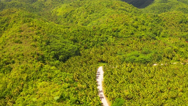 在菲律宾Siargao的椰子树中间的公路鸟瞰图。视频素材