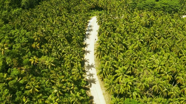 在菲律宾Siargao的椰子树中间的公路鸟瞰图。视频素材