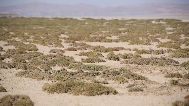 干旱半干旱盐湖地区位于土耳其安纳托利亚中部地区。
/土耳其10/11/2018 Centralanatolia区域视频素材