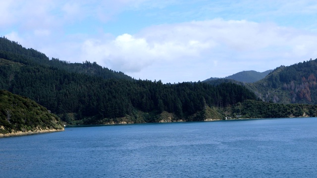 新西兰库克海峡的海岸线视频素材