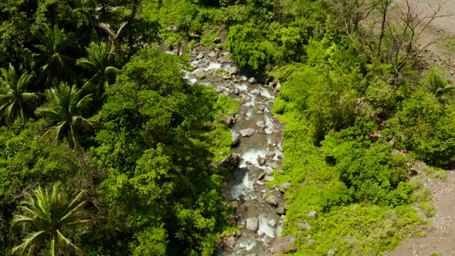 热带雨林的山区河流，菲律宾卡米圭因视频素材