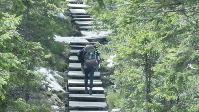 在森林里徒步旅行。视频素材