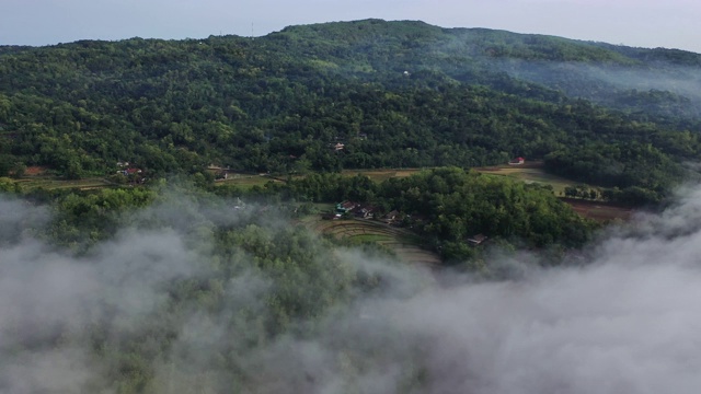 风景鸟瞰图的Tegallalang稻田在巴厘岛，印度尼西亚视频素材