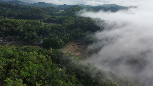 风景鸟瞰图的Tegallalang稻田在巴厘岛，印度尼西亚视频素材