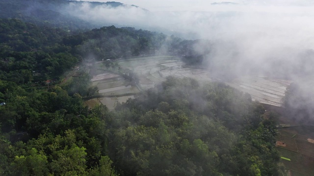 风景鸟瞰图的Tegallalang稻田在巴厘岛，印度尼西亚视频素材