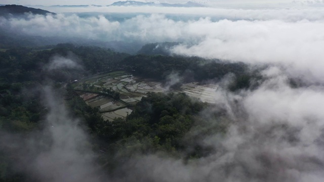 风景鸟瞰图的Tegallalang稻田在巴厘岛，印度尼西亚视频素材