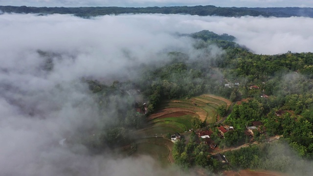 风景鸟瞰图的Tegallalang稻田在巴厘岛，印度尼西亚视频素材