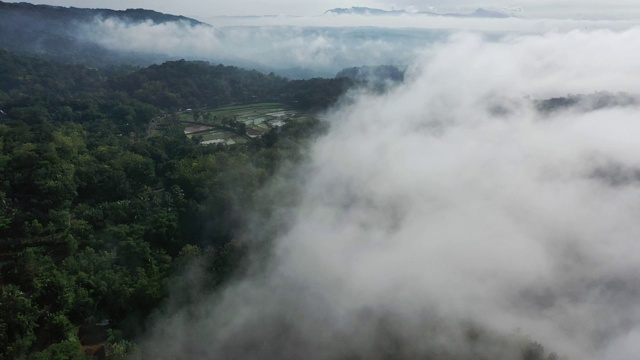 风景鸟瞰图的Tegallalang稻田在巴厘岛，印度尼西亚视频素材