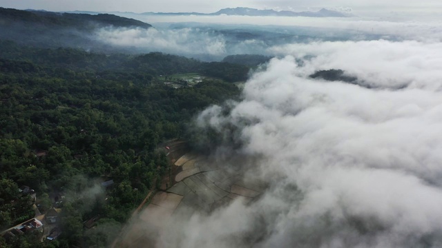 风景鸟瞰图的Tegallalang稻田在巴厘岛，印度尼西亚视频素材